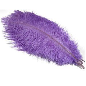 Set of 10 | Light Purple Feathers Lilac size 12-14 inches Decor